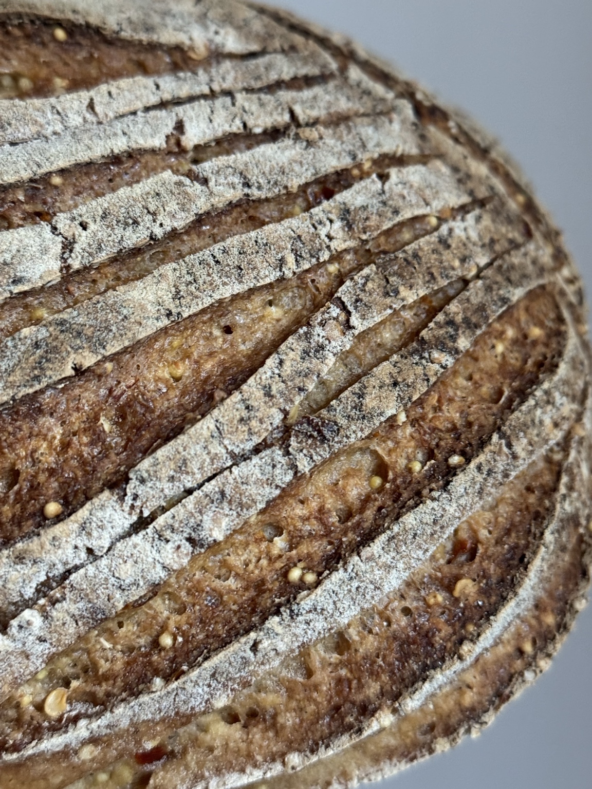 Artisan sourdough bread 6